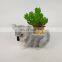 indoor ceramic plant pot with fake indoor artifical plants outdoor