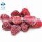 Fresh Frozen IQF Whole Raspberry for Yogurt Cake Topping Jam Smooth