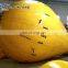 Durable Underwater Inflatable Air Lift Bags for Marine Salvage