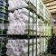High Quality 150mm 1000m Plastic PP Plant Cucumber Net Garden Trellis Net for Plant Support