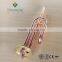 12V Electric Immersion Water Heater