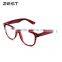 ZEST Oversized Computer Radiation Protective Glasses