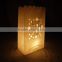 Promotion quality best selling luminary lantem paper candle bags