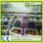 Automatic fruit weight grading machine