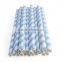 Popular eco-friendly paper drinking straw