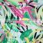 Knitting 90%polyester 10%spandex lycra swimwear fabric