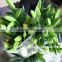 Best Price Flowers Lilies For Wedding Craft To Lovers From YUNNAN
