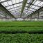 agricultural greenhouses film