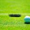 AVG Customized PE Artificial Grass For Golf