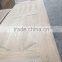 3.0mm ASH wood veneer HDF door skin