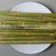 Frozen Sugarcane sticks