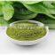 Top Quality and Top Grade spinach powder extract powder