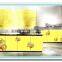 UV Protection plywood Board for kitchen canbinet