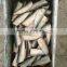 8-10pcs/kg HGT Frozen Sardine for Canning