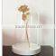- Large Wedding Clock Cover; French Antique Round Glass Dome Base. Wooden Display Stand[} Glass Factory wholesale glass bell jar