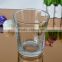 Round shaped glass type glass vase flower vase for sale