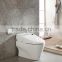 ceramics Intelligentize Electronic toilet DIA1105