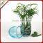 European creative arts small glass cup vase / Handmade Ice crack technology glass flower vase for home decorative