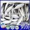frozen small eye horse mackerel round scad fish Decapterus Maruadsi size 80-100 100-120 120-140
