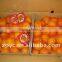 Sweet Baby orange,citrus orange from China
