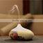 GX DIFFUSER Newest usb aroma diffuser,mini humidifier GX-B06
