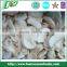 2015 new corp High Quality Frozen champignon mushroom Grade A BRC Haccp ISO