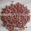 wholesale big size blanched peanut kernels(ground nut seeds)