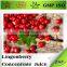 Lingonberry Concentrate bulk fruit juice