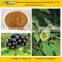 Siberian Ginseng Extract Eleutheroside