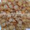 VIETNAM DRIED LONGAN