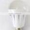 LED 12 light bulb