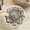 Creative zakka white ceramic indoor planters for succulents