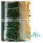 2016 new design GreenSun Hydro Plastic Vertical garden wall planter/self-watering system wall planter