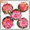 2017 new type Artificial lotus flower real touch decorative artificial lotus flower for sale