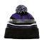 New Custom Style Men's Winter Knit Hat/Pom Pom Knitted Hat