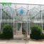 Commercial Modern Display Multi-span Glass Greenhouse For Sale