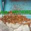Best price fresh apricot shelling machine almond kernel shell separator machine almond processing machines