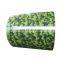 Design pattern flower ppgi coils color coated galvanized metal sheet
