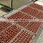 Dog Meat Dice Treat Forming Machine Beef Granuales Making Machine