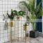 Best New Decor Iron Design Large Garden Tall Gold Modern Round Pot Outdoor Indoor Plant Stand Metal
