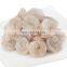 frozen vannamei shrimp white prawns meat peeled PD vannamei shrimp