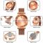Skmei 1701 Classic Ladies Quartz Watches Online Sale Simple Steel Mesh Fashion Women Wrist Watch