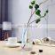 New Design Wholesale Nordic Creative Round Modern Colorful Crystal Wedding Garden Tabletop Home DecorationFlower Glass Vase