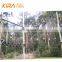 Treetop Adventure Park High Tree Tops Rope Course For Jungle