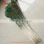 Factory Wholesale indian peacock feather for sale
