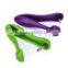 Deluxe Cherry and Olive Pitter/Corer/Stone Remover - Regal Purple cherry corer for kitchen home use