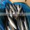 frozen pacific mackerel mackerel 300-500g