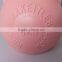 Precision Cast Steel Competition Kettlebell color with Stainless Steel Handle