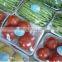 LIYA harmless pe cling food wrap