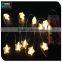 CE&Rohs DC 12V Voltage and Christmas Holiday Name string light